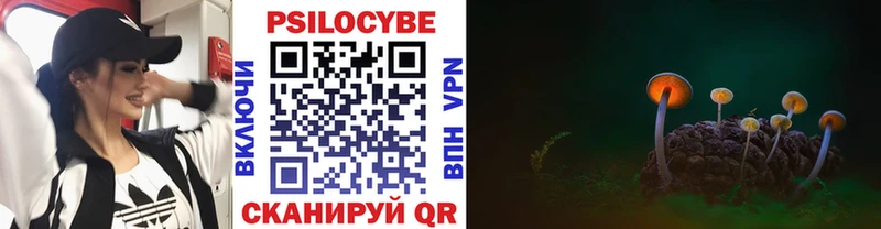 купить наркотик  Приозерск  Псилоцибиновые грибы Cubensis 
