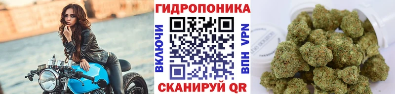 Канабис Ganja как найти закладки Приозерск